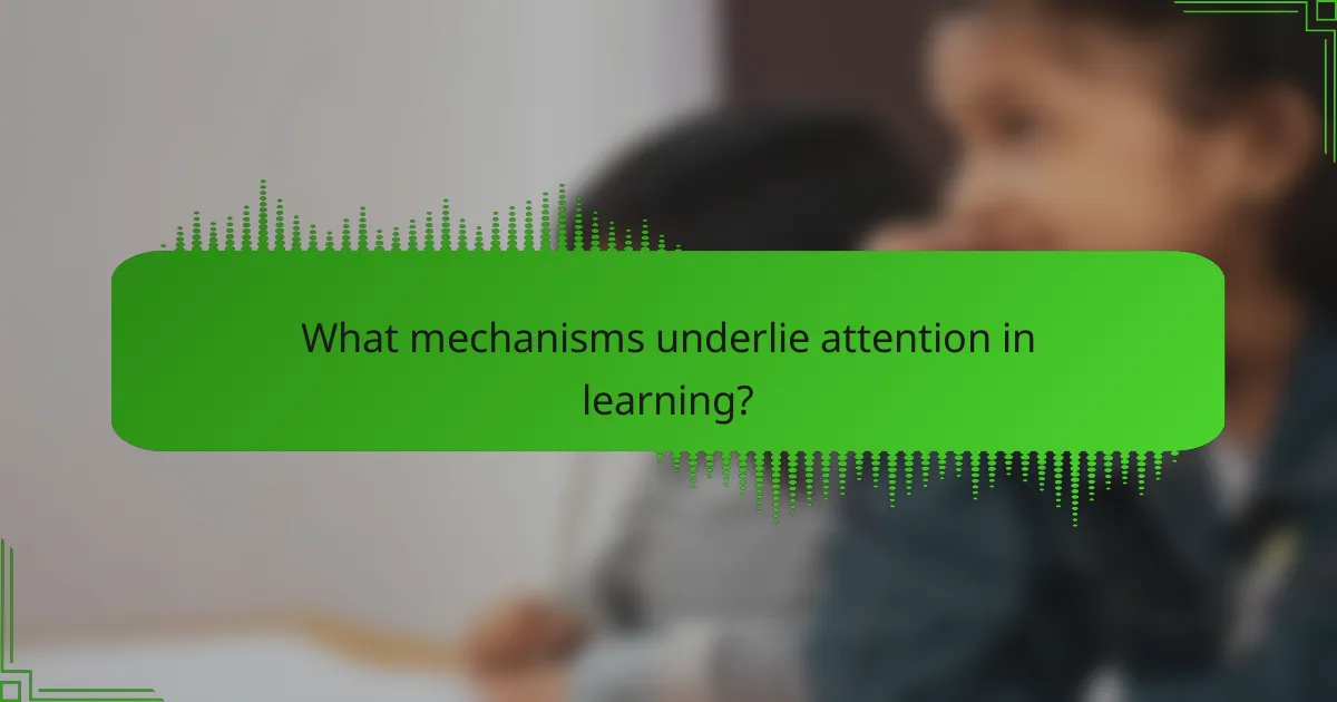 What mechanisms underlie attention in learning?