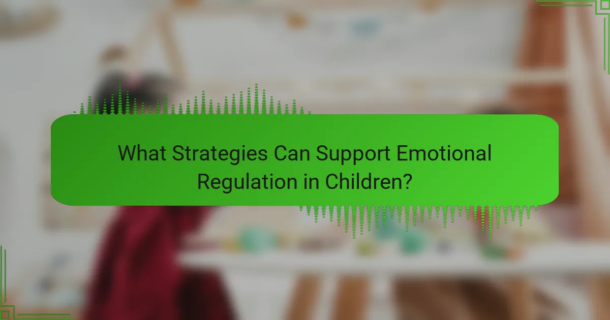 What Strategies Can Support Emotional Regulation in Children?